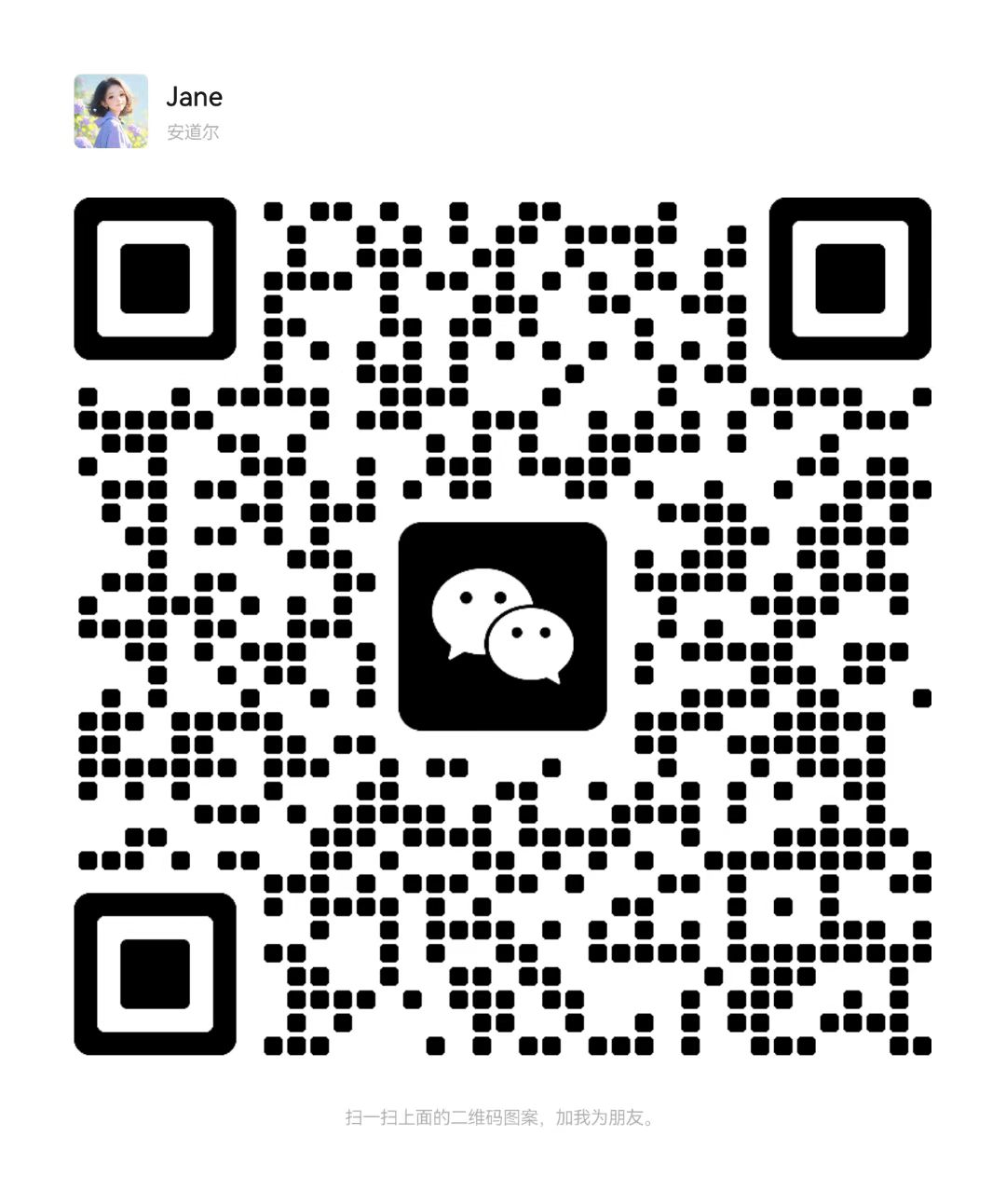 the qr code
